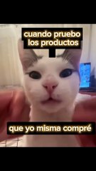 Testando produtos