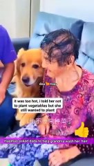 Maomao asked dada to help grandma wash her hair