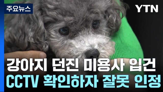 꼬리 흔드는 강아지 '휙' 던져 골절...미용사 입건 / YTN