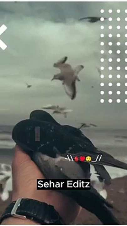 WhatsApp status  Urdu poetry Sad status #youtubeshorts #ytshorts #shorts