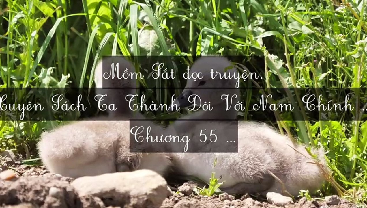 C53-C60 Xuyên Sách Ta Thành Đôi Với Nam Chính Phản Diện