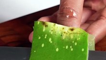Aloe_vera_Juice_#shorts