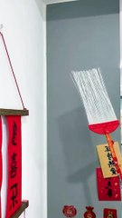 Extended fly swatter