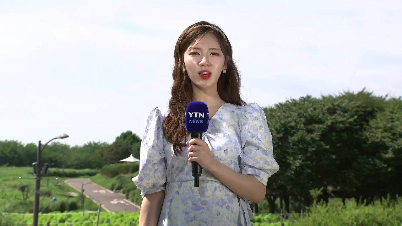 [날씨] 오늘 폭염 주춤, 내일 곳곳 비...남은 폭염 특보도 점차 해제 / YTN