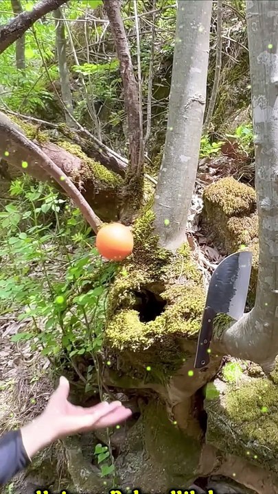 Salt Crusted Chicken In She Cooks #shecooks #uniquevideoz