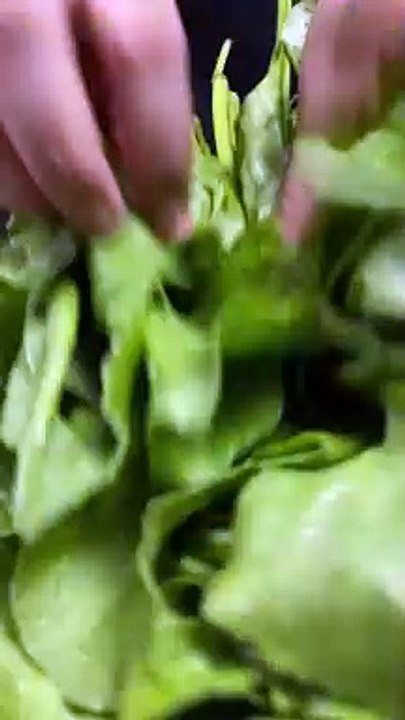 Palak Paneer Cooking In She Cooks #shecooks #uniquevideoz #shorts #food #viral #cooking #palakpaneer #paneer