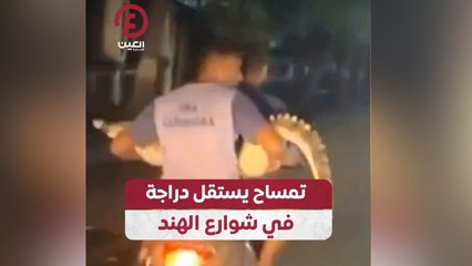 تمساح يستقل دراجة في شوارع الهند