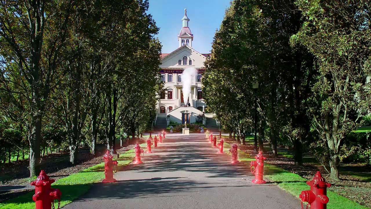 Welpenakademie S01E02-Erzählt-von-euren-Menschen-Tag