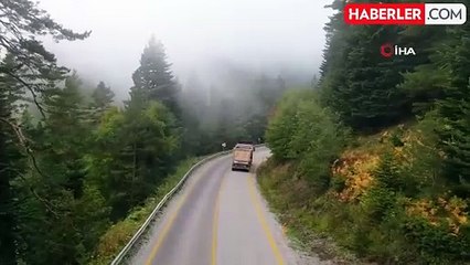 Sis ve ormanın muhteşem buluşması mest etti