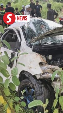 Car swerves to avoid monkey, crashes, killing two in Baling
