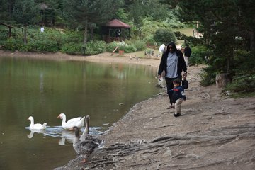 Zigana’nın serinleme durağını yaklaşık 100 bin kişi ziyaret etti