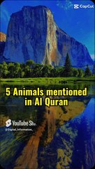 5 Animals mentioned in the Quran #shorts #viral