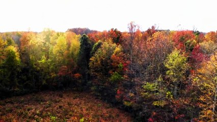 Révélations Paranormales - Les Loups-garous du Kentucky