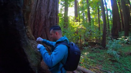 Révélations Paranormales - La Créature du Lac Champlain