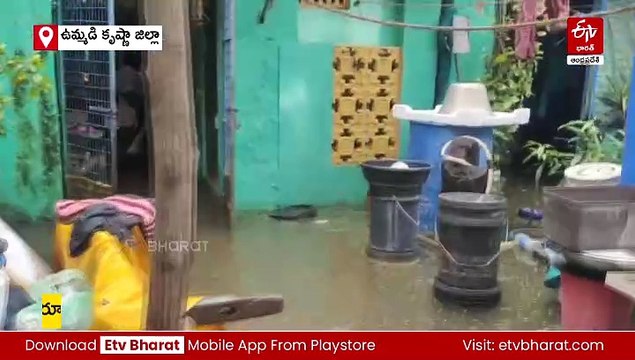 ఉమ్మడి కృష్ణా జిల్లాలో భారీ వర్షాలు