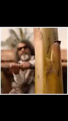 🔥 Must-Watch Bollywood & South Movie Highlights | Kalki2898AD & Stree2