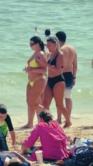 A cool day beach summer..