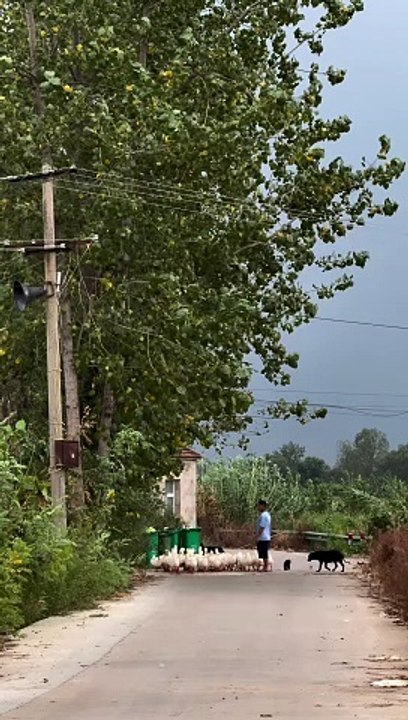 A Familiar Village Charm 