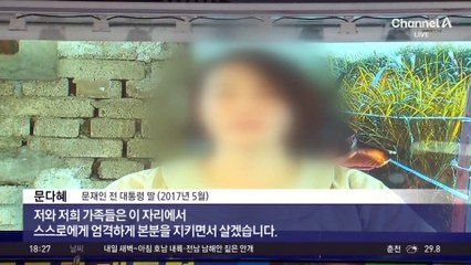 문 전 대통령 딸 다혜 씨 “그 돌 누가 던졌을까”
