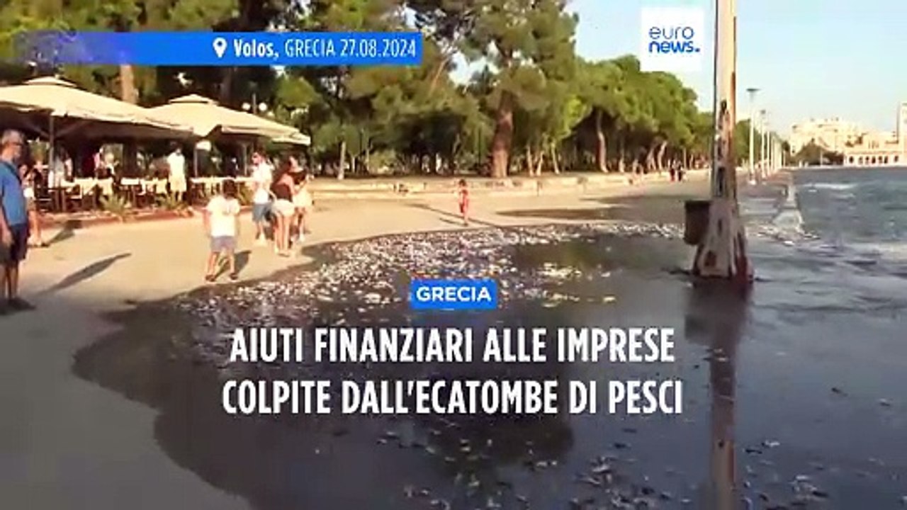 Grecia, aiuti economici alle imprese in risposta alle tonnellate di pesci morti riversatisi a Volos