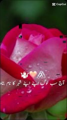 Flowers view is so pretty