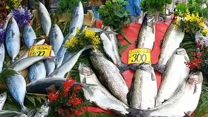 Beklenen gün geldi! Balık sezonu açıldı