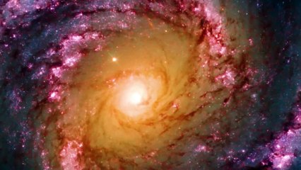 Bill Nye_ _Voyager 1 Has Made “Terrifying” Discovery after 45 Years in Space