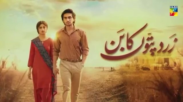 Zard Patton Ka Bunn - Episode 17 [CC] - 1st Sep 24 - Sponsor By Master Paints & Jhalak Beauty Cream