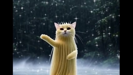 ✨Cat Dance✨#music #Cat #automobile #viralvideo #dance #motivation #musicgenre #mindset #shorts #fun