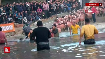 Burdur'da asırlardır sudan koyun geçirme geleneği yaşatılıyor