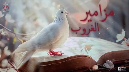 مزامير صلاة الغروب | الشماس سامح عطا