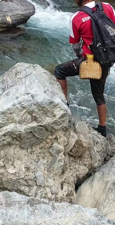 Cast Net Fishing in Nepal | Himalayan Trout Fishing in Nepal | Asala Fishing |