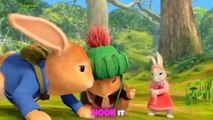 PeterRabbit | Outdoor Nature Adventures   | Cartoons for Kids @CartoonFunhouse