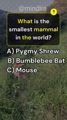 Animals Trivia Quiz Game Trivia Challenge, Trivia Quiz Game  #quiz #trivia_quiz #shorts