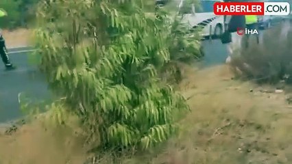 Kafa kafaya çarpışan 2 otomobil hurdaya döndü