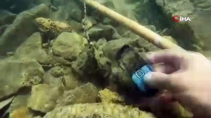 İnanması güç! Bunların hepsi Van Gölü'nden çıktı