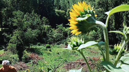 Des cloportes et des roses (extrait 1058 à 1100)