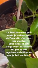 "Des fèves de cacao cultivées et doucement transformées pour en gardant tous les éléments essentiels qui le compose."Tatiana Silva, Instagram