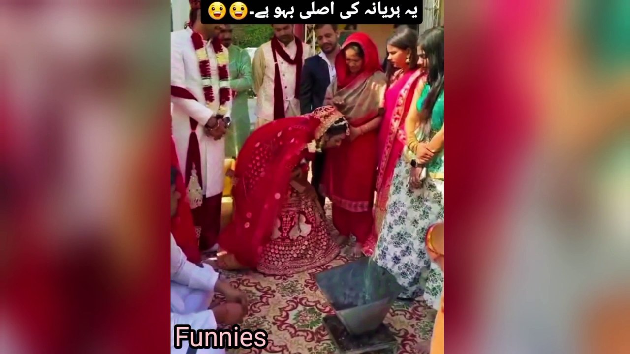 Funny Video