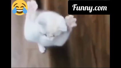 Hilarious Viral Video You Can't Miss 😂