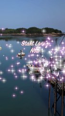 Start Living Now: Discover Deer Island’s Hidden Maritime History. Filmed In 4K