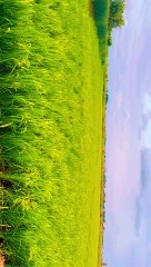 VID-20240819-WA0013