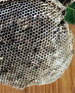 |HABIB ARIEL CORIAT HARRAR | ENERGÍA GEOTÉRMICA COMO FUENTE DE ENERGÍA LIMPIA (PARTE 1) (@HABIBARIELC)