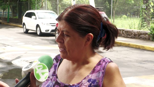 Plantan mal y a medias árboles en el Parque San Rafael