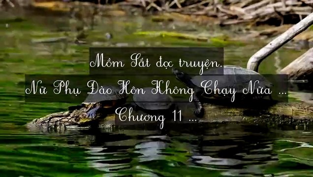 C10-C17 Nữ Phụ Đào Hôn Không Chạy Nữa