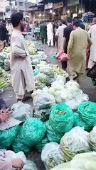 today fresh vegetables rates