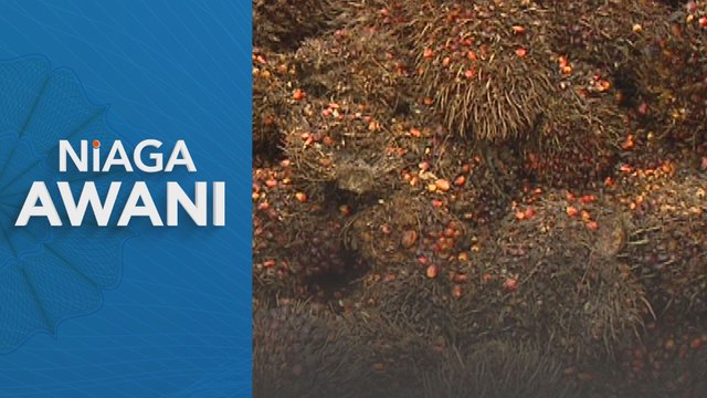 Niaga AWANI: Niaga hadapan MSM dijangka diniagakan cenderung meningkat minggu ini