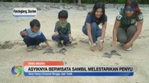 Wisata Edukasi Lepasliarkan Tukik di Tanjung Lesung Pandeglang Banten