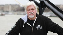 Le défenseur des baleines Paul Watson maintenu en détention au Groenland