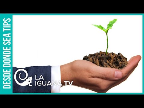 ¡Colombia se robó Monómeros! Los oscuros intereses sobre esta empresa en supuesta bancarrota